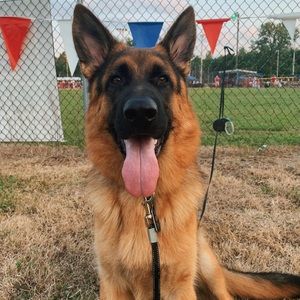 Meet your Posher, Faith